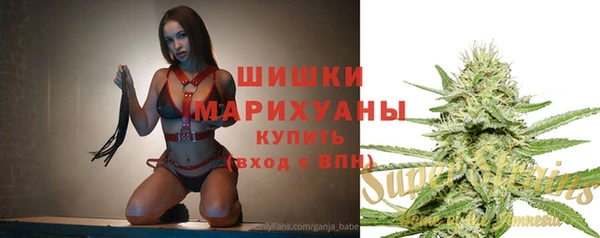 spice Кодинск