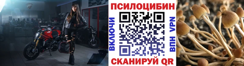 Псилоцибиновые грибы Magic Shrooms  Батайск 